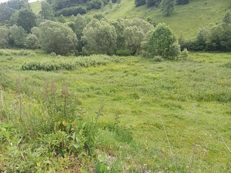 Teren de 3500 mp, în Central