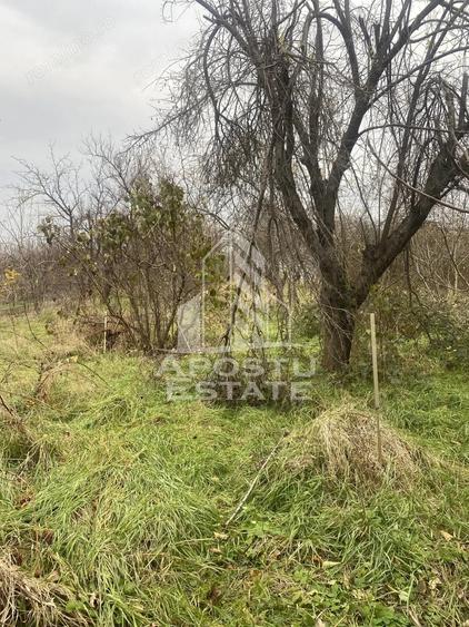 Casă cu 4 camere cu Teren 1509 Mp în Ghiroda