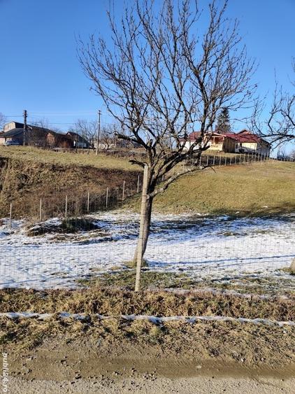 Teren de 1253 mp, în Remecioara