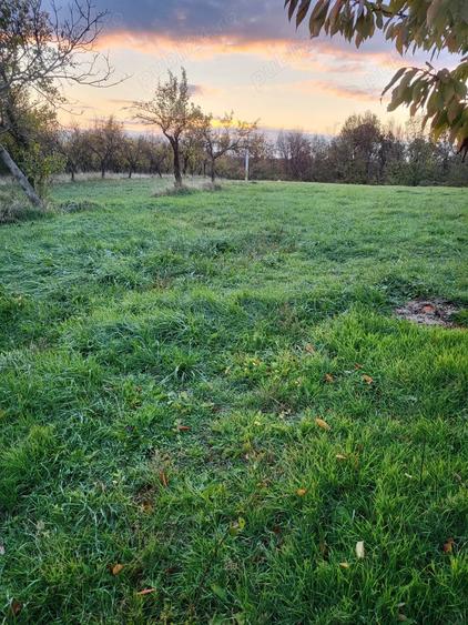 Teren de 600 mp, în Moșoaia