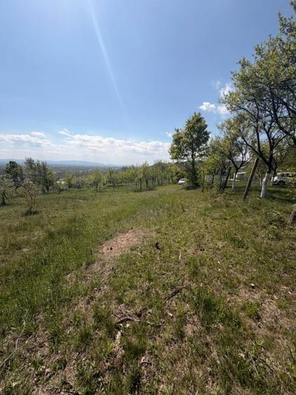 Teren Construcții intravilan de 1400 mp, în Buzești