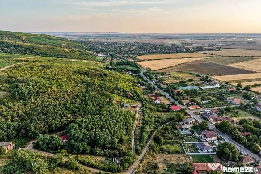 Teren în Miniș