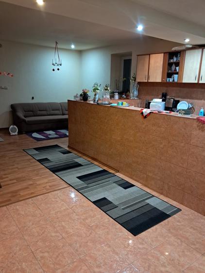 Casă individuală cu 7 camere cu Canalizare în Variaș