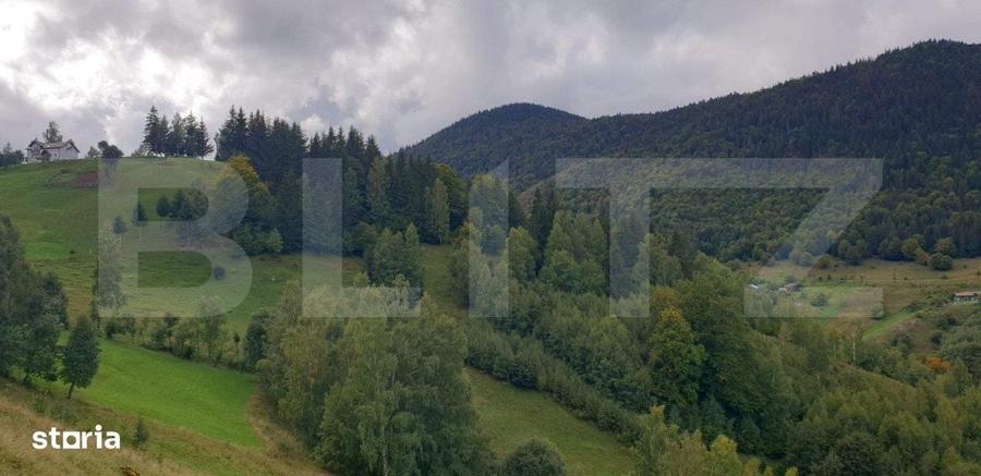 Spațiu comercial, în Peștera