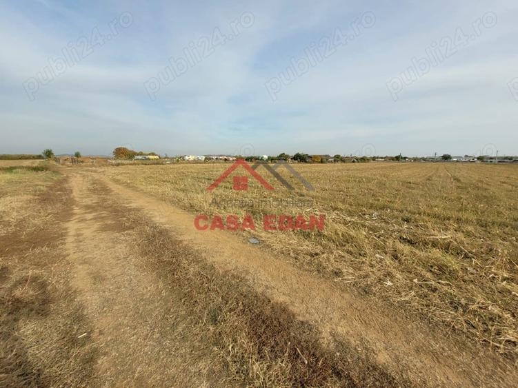 Teren intravilan in Baicoi zona targului--10.000mp--5e - 4