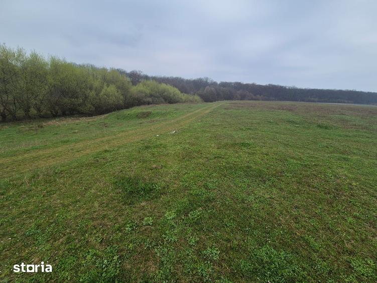 Teren de 2200 mp, în Mitocu Dragomirnei