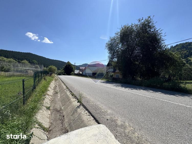 Teren de 7670 mp, în Borca