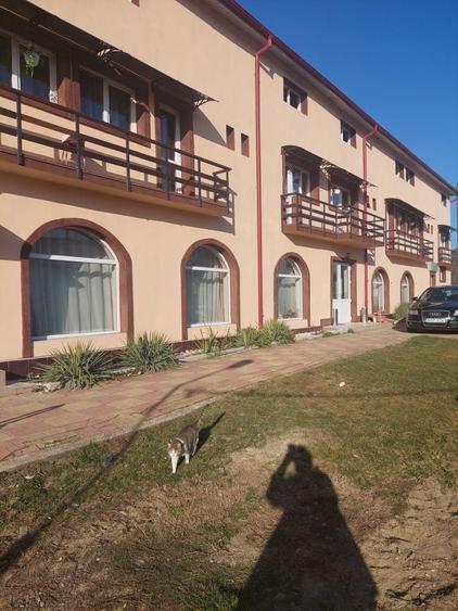 Casă cu 4 camere în Malu cu Flori