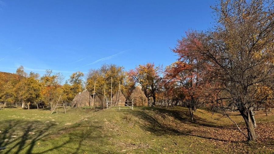 Teren Construcții intravilan de 7500 mp, în Sălătrucu