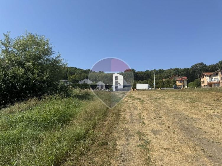 Teren Construcții intravilan de 7280 mp, în Câmpului