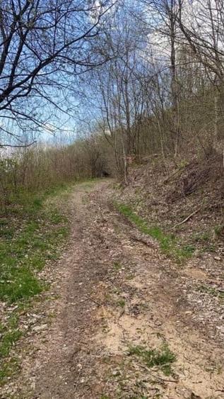 Teren Construcții extravilan de 3950 mp, în Mărișel