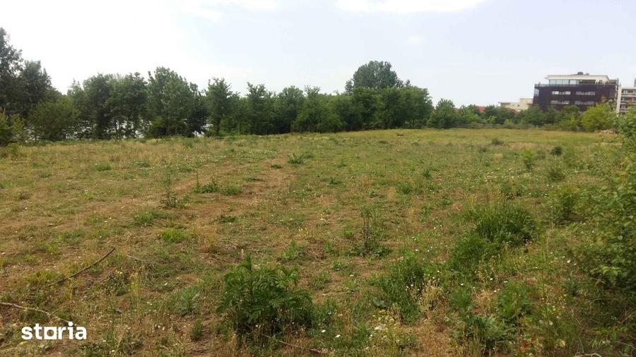 Teren de 6000 mp, în Dămăroaia