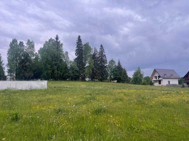 Teren de 1000 mp, în Beliș