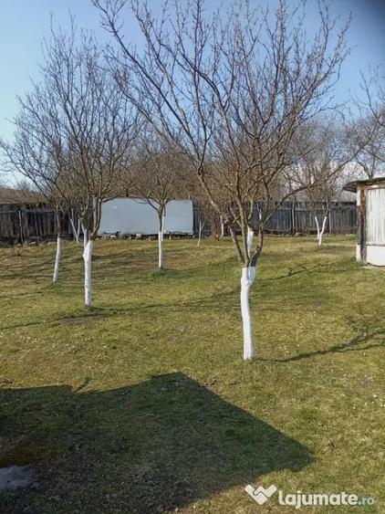 Casă cu 2 camere în Țichindeal