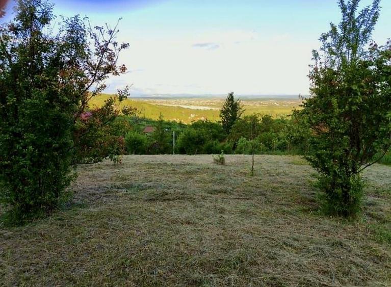 Teren intravilan de 1765 mp, în Podgoria