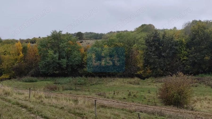 Spațiu comercial, de 240 mp, în Ștubeiu