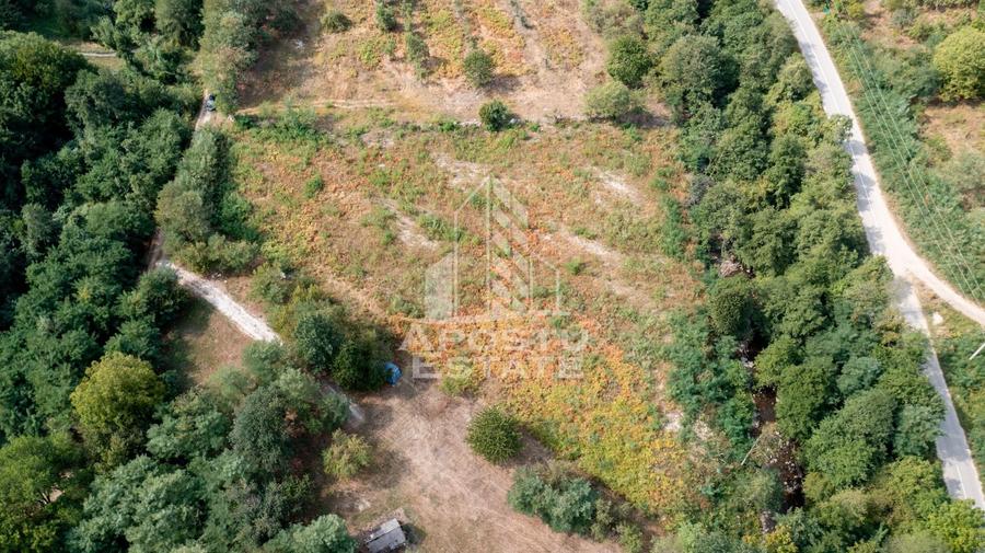 Teren agricol extravilan de 5000 mp, în Borlova