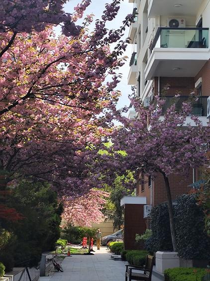 Apartament cu 3 camere decomandat în Barbu Văcărescu