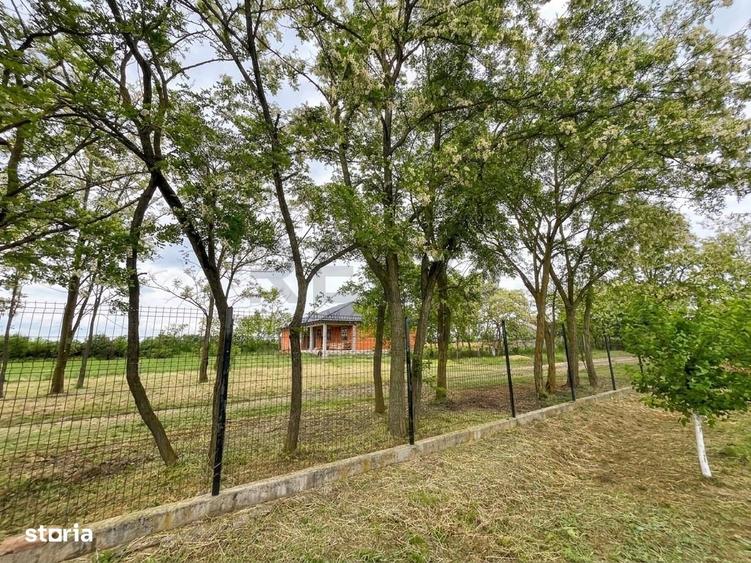 Casă cu 3 camere cu Teren 2350 Mp în Gepiu