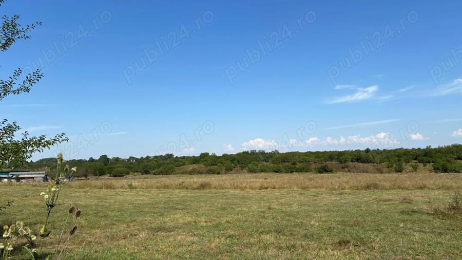 Teren de 7500 mp, în Băicoi