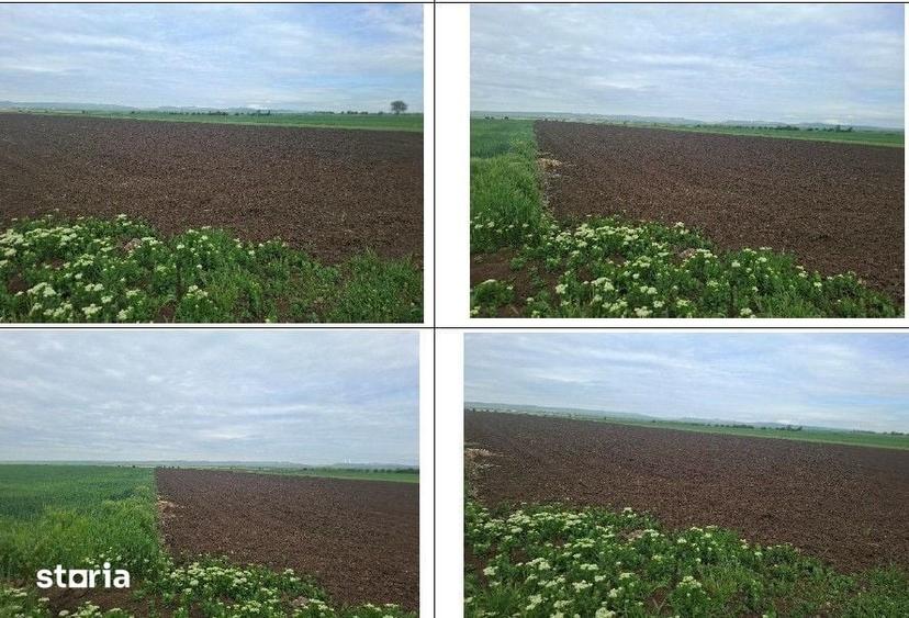 Teren de 10000 mp, în Valea Râmnicului