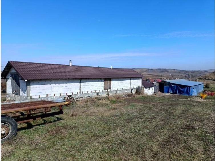 Teren Construcții intravilan de 6500 mp, în Frata