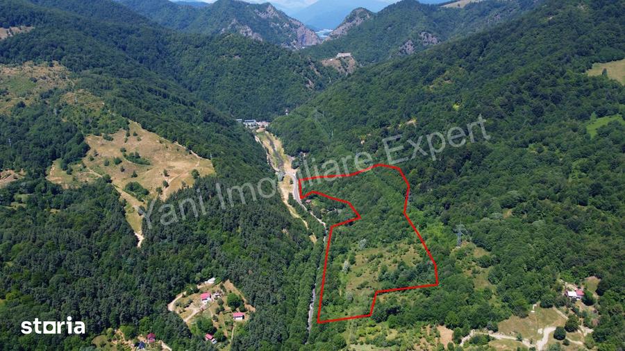 Teren de vanzare pe Transfagara?an ( 75.200 mp ) - 17