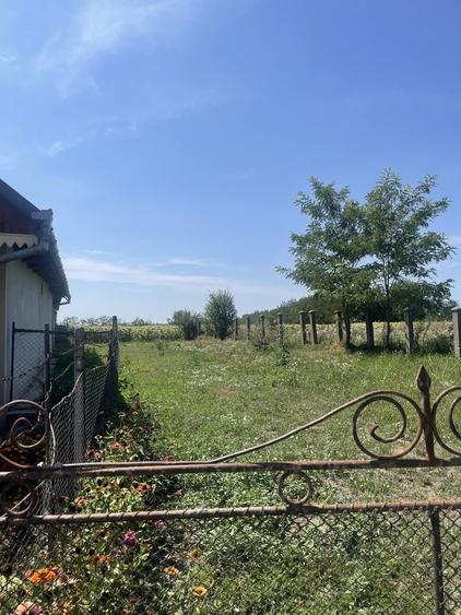 Teren de 7900 mp, în Dorolț
