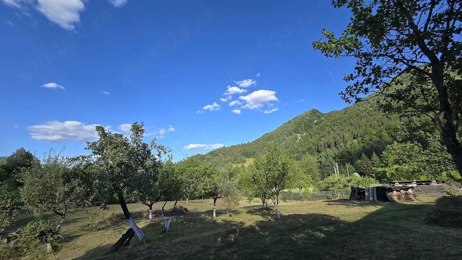 Teren de 2780 mp, în Valea