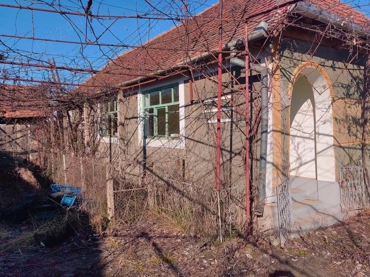 Casă în Săldăbagiu Mic