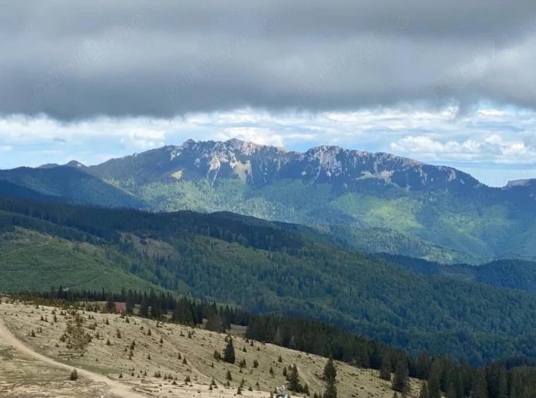 Teren de 1000 mp, în Central