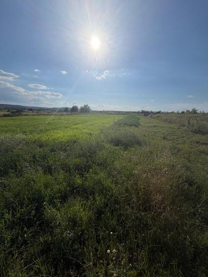 Teren Construcții intravilan de 2090 mp, în Filiași