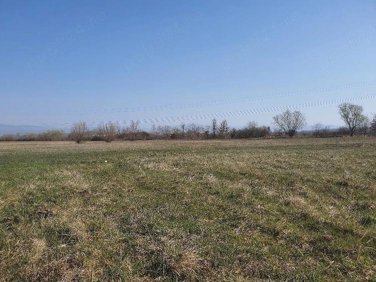 Teren de 4700 mp, în Culcea