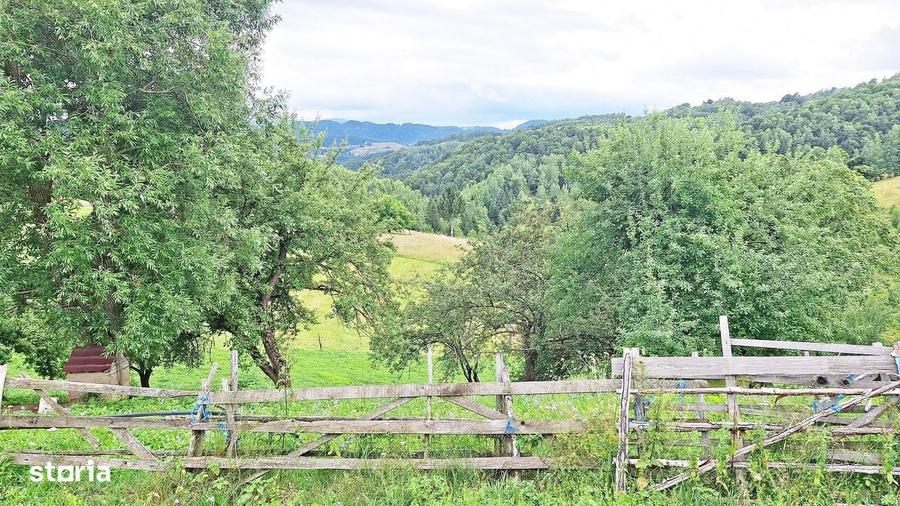 Teren de 1000mp in Bran, satul pitoresc Pestera - 4