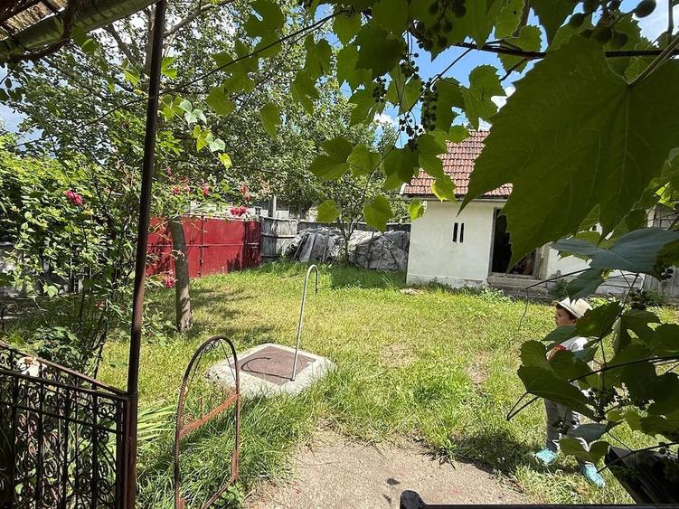 Casă cu Teren 6500 Mp în Dretea