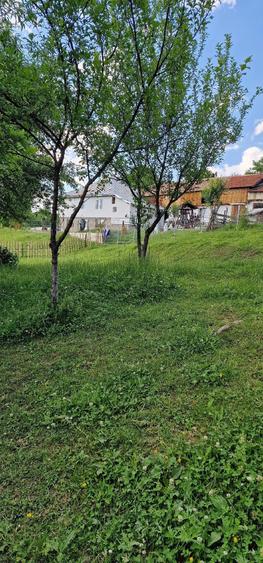 Teren de 1088 mp, în Central