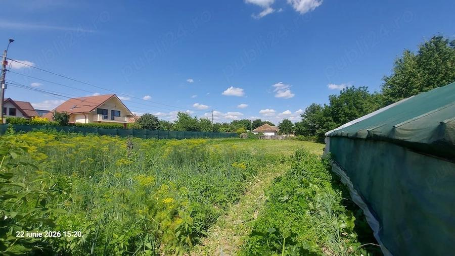 Casă cu Teren 2500 Mp în Șerbănești