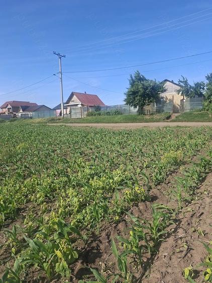 Teren de 6500 mp, în Popești