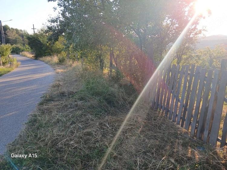 Teren de 600 mp, în Cicănești