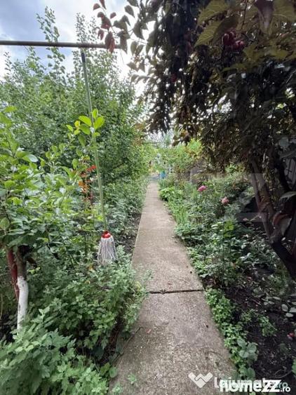 Casa 4 camere - zona Mihai Bravu - Ploiesti (Prahova) - 8