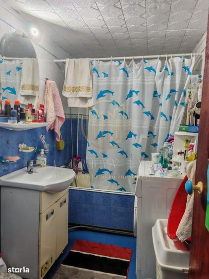 Casa individuala Brancoveanu Aluni?ului - 15