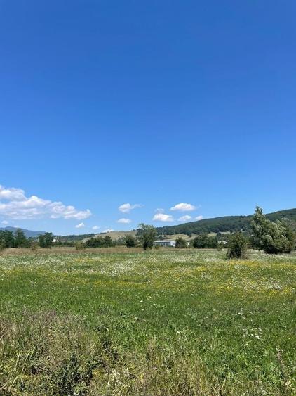 Teren de 4786 mp, în Coman