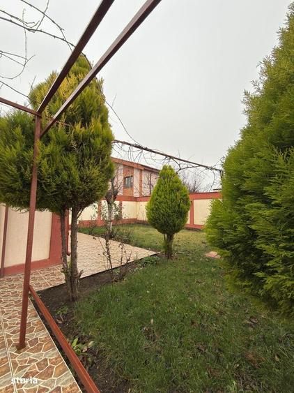 Casa cu 3 Camere | TEREN 360MP | Navodari - 17