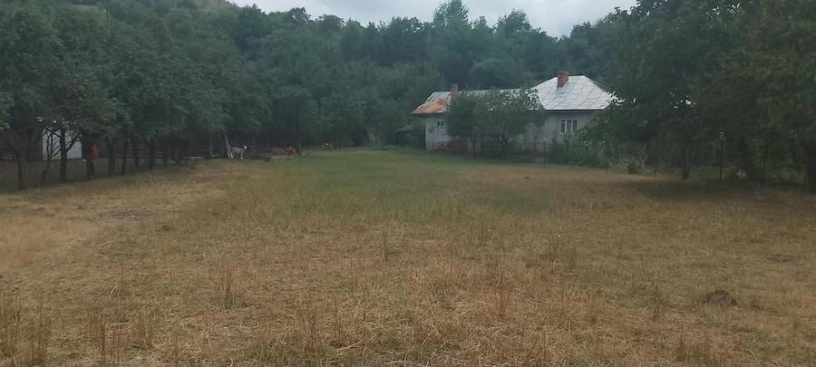 Teren de 8040 mp, în Central