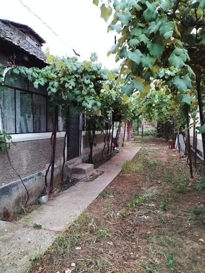 Casă cu 4 camere în Florești