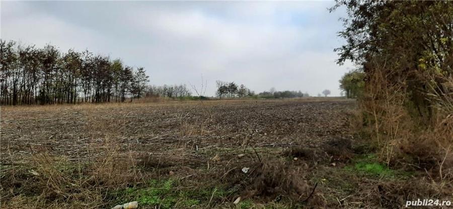 Teren de 1840 mp, în Gheorghe Lazăr