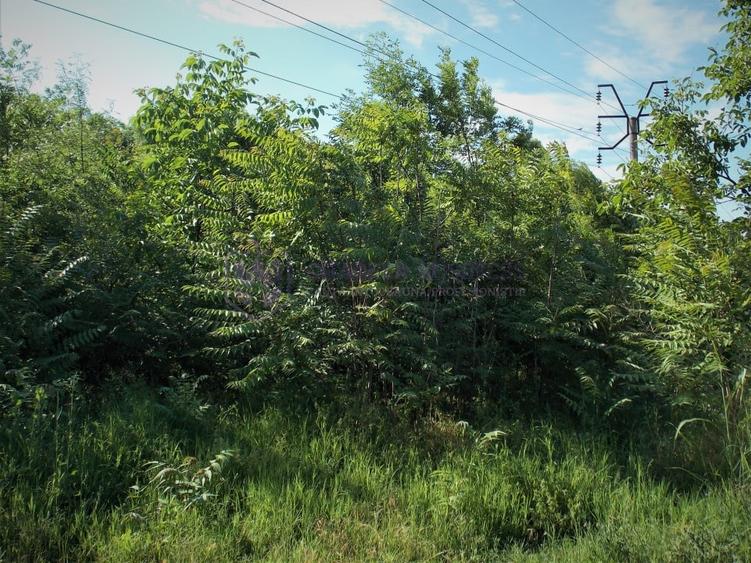 Teren Construcții intravilan de 1500 mp, în Lazu