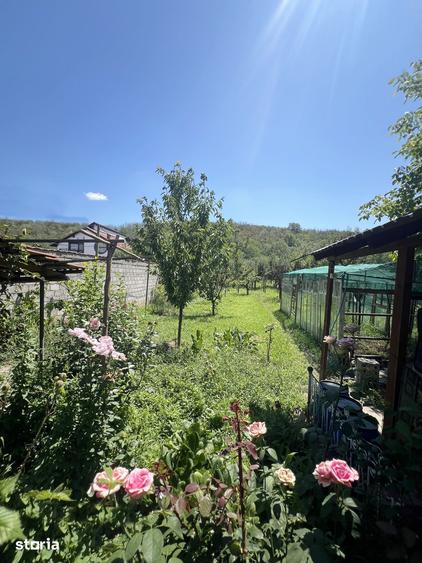 Casă cu 4 camere cu Teren 1819 Mp în Ciugud