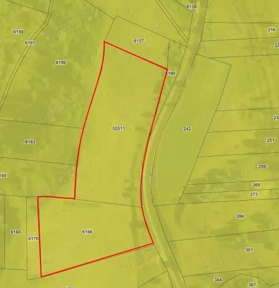 Teren de 30000 mp, în Saschiz