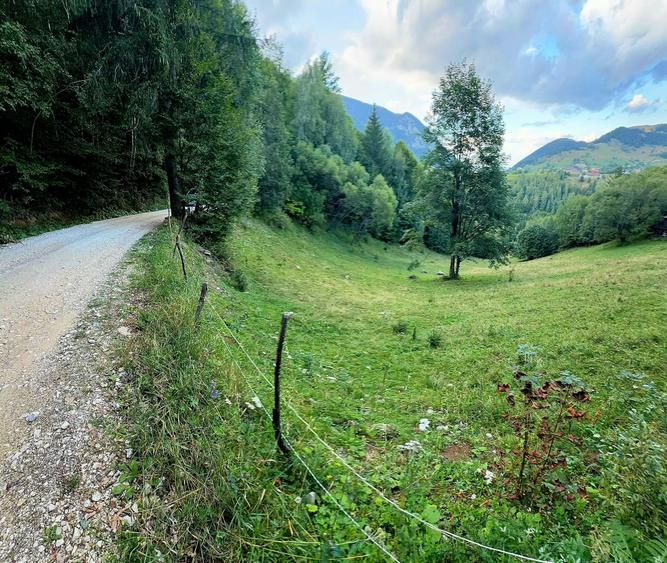 Teren agricol extravilan de 8635 mp, în Peștera